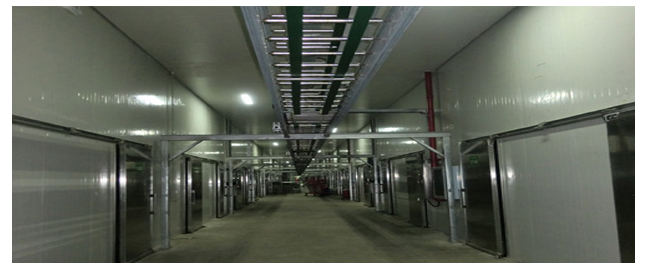 (寧夏)科技局給予本司技術人員王小軍、屈安民有機杏鮑菇高產技術創新表彰會的通報